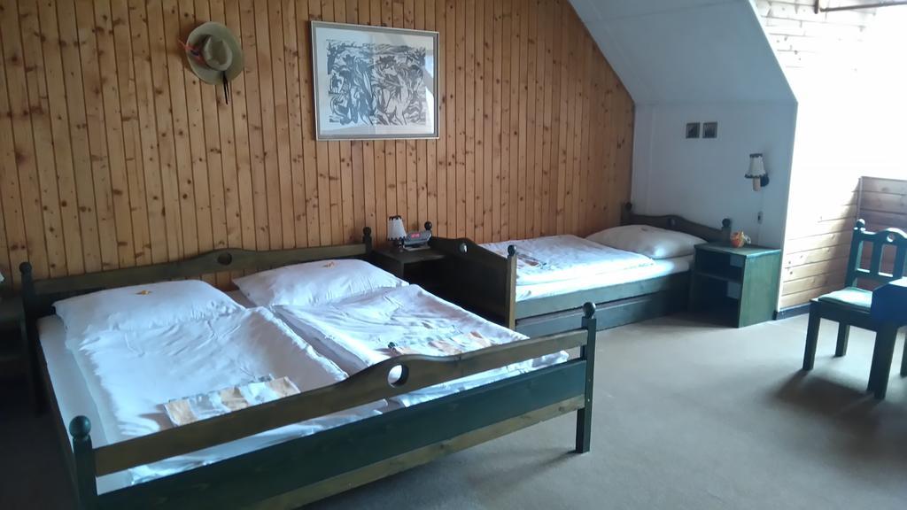 Penzion Encian Mýto pod Ďumbierom Værelse billede